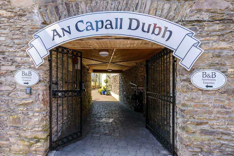 Dingle Centre Townhouse An Capall Dubh Dingle Exteriér fotografie